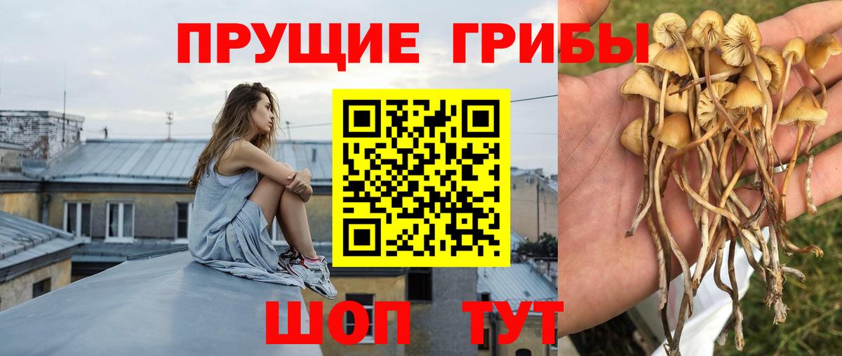 МАРИХУАНА  Меф   КЕТАМИН  Лсд 25  ГАШ  Отрадное  КОКАИН  Вход с VPN  Alpha PVP СОЛЬ кристаллы  Наркошоп 